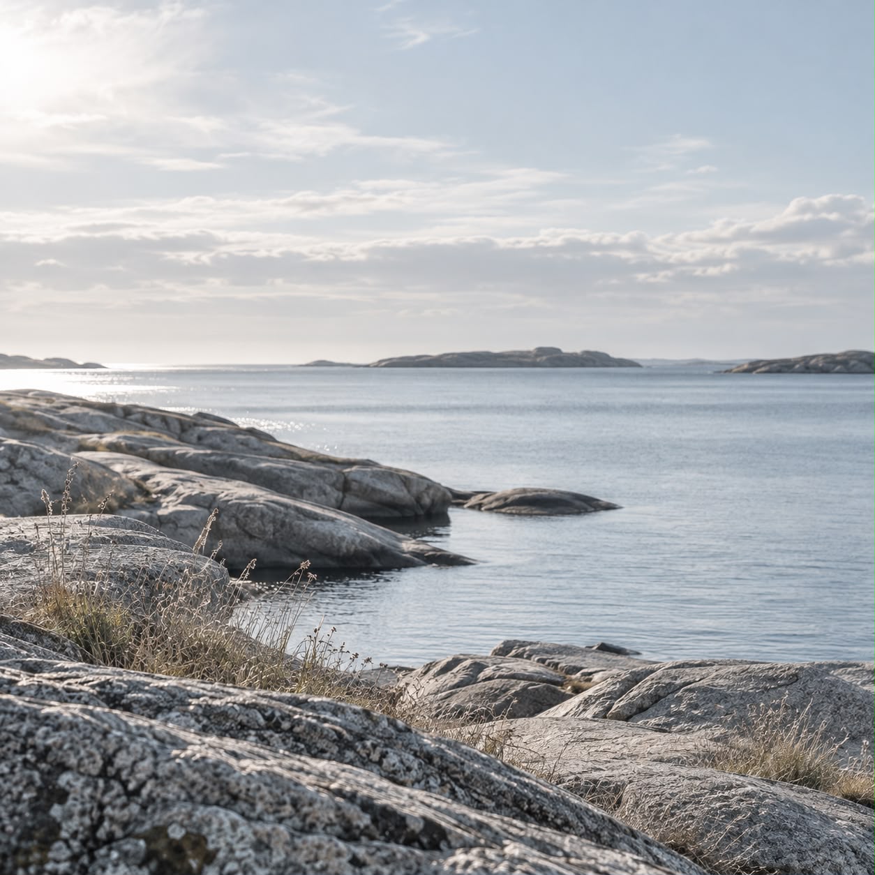 Roligt nordisk kystlandskab